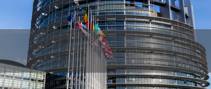 Banner Evropský parlament