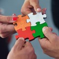 Cooperation